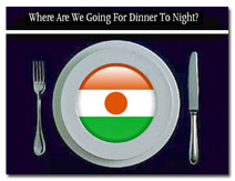 Niger-logo